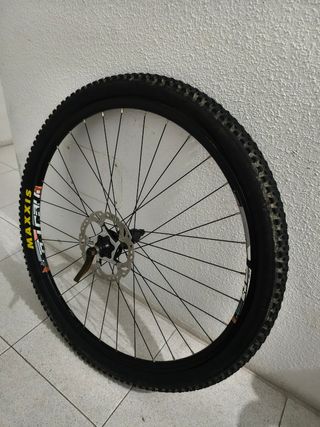 Rueda 29/700c para rodillo con cubierta