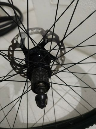 Rueda 29/700c para rodillo con cubierta