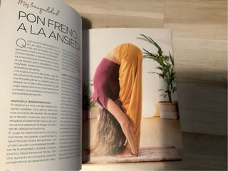 Yoga En Casa ilustrado, fotografías, libro nuevo