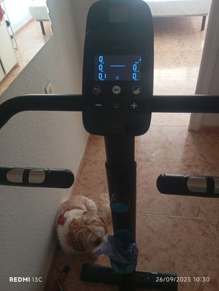 Máquina de ejercicio segunda mano