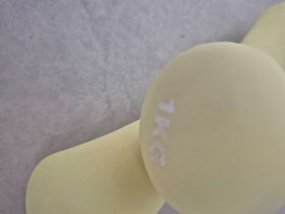 Pesas para ejercicio