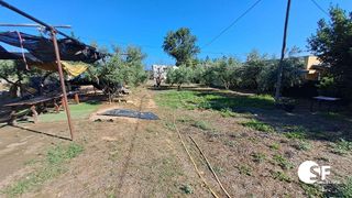 Terreno en venta en Riudoms