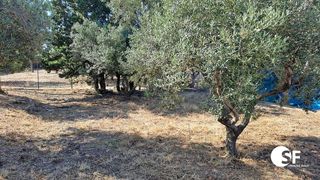 Terreno en venta en Riudoms
