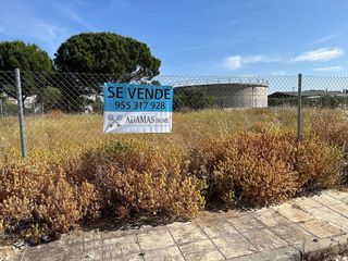 Terreno en venta en Sanlúcar la Mayor