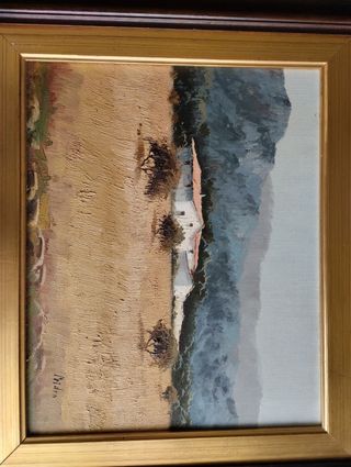 Cuadro al óleo firmado Peidro