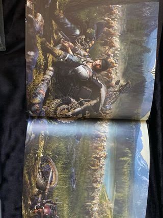 Days Gone Edición Especial PS4