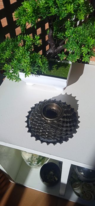 Piñón 7 Velocidades Shimano