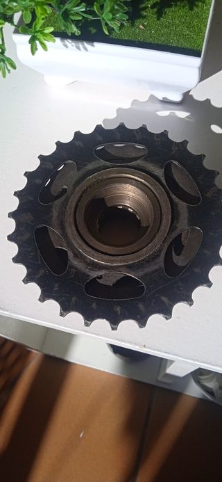 Piñón 7 Velocidades Shimano