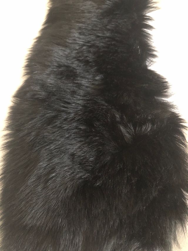 Retal de piel y pelo negro