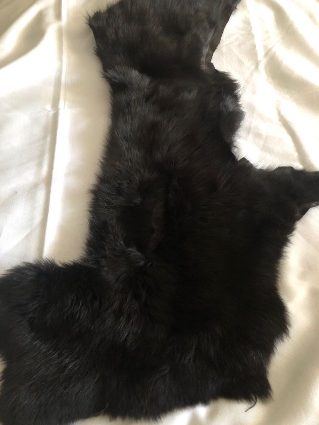 Retal de piel y pelo