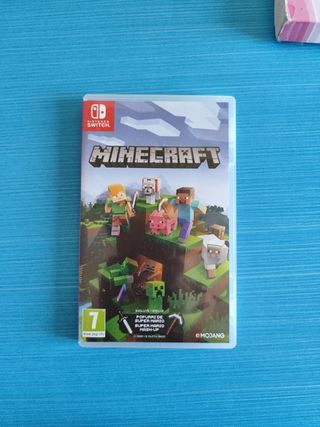 Minecraft Nintendo Switch