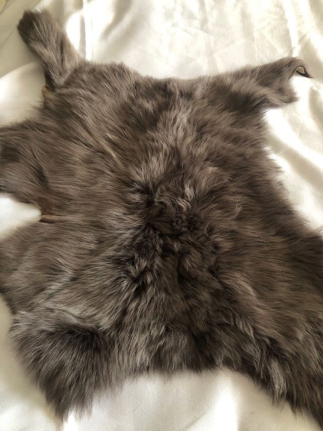 Retal de piel y pelo