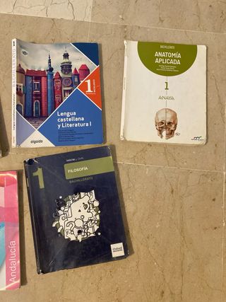 LA - Economia de la empresa 2 Bachillerato. Lib...