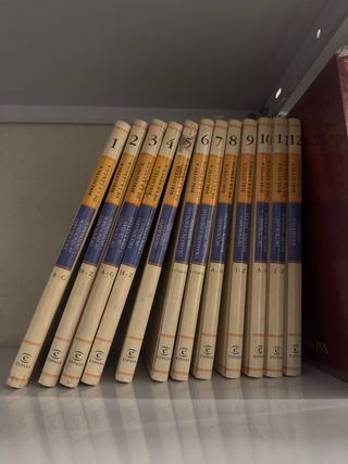 Diccionario 12 volumenes Biblioteca de la lengua