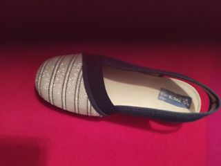 Zapatos de mujer azul y plateado