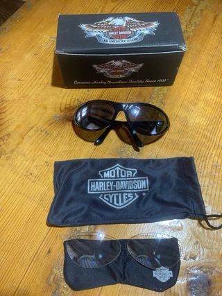 Gafas Harley Davidson con lentes intercambiables. 