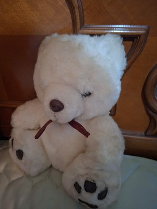 Lote de 2 peluches: oso blanco y marrón