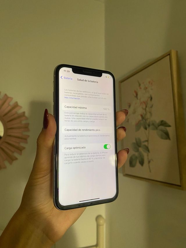 iPhone X 64GB - Batería 100%