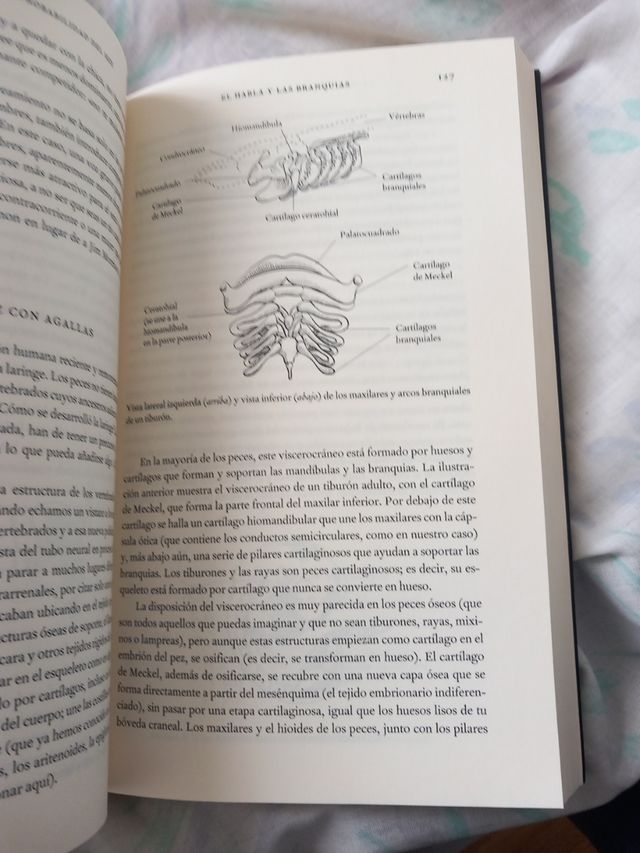 La increible improbabilidad del ser (Spanish Ed...