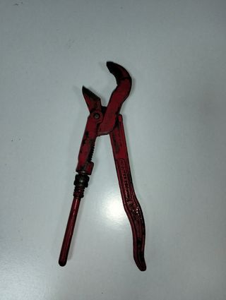 Pico de loro rojo
