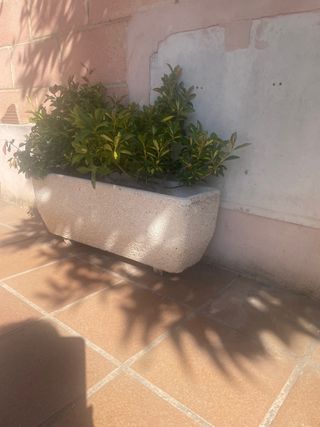 Macetero de piedra beige y verde