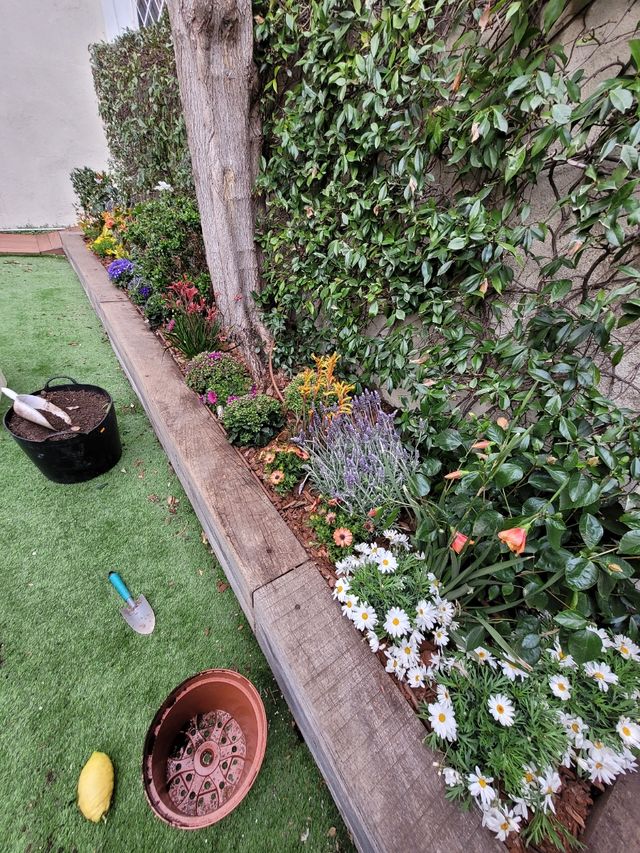 Servicio de jardinería especializada