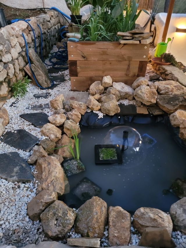 Servicio de jardinería especializada