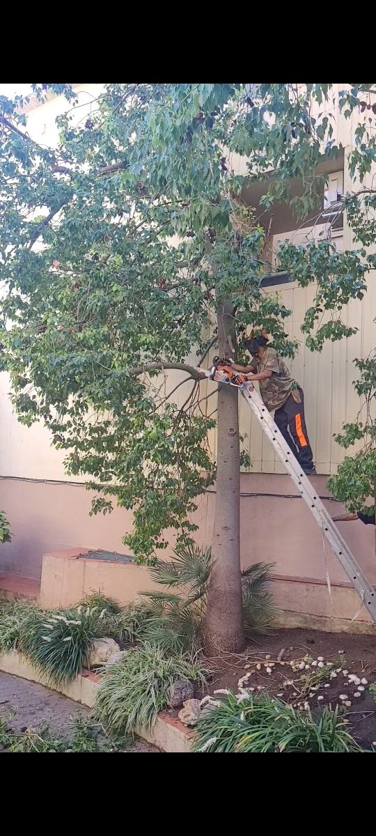 Servicio de jardinería especializada