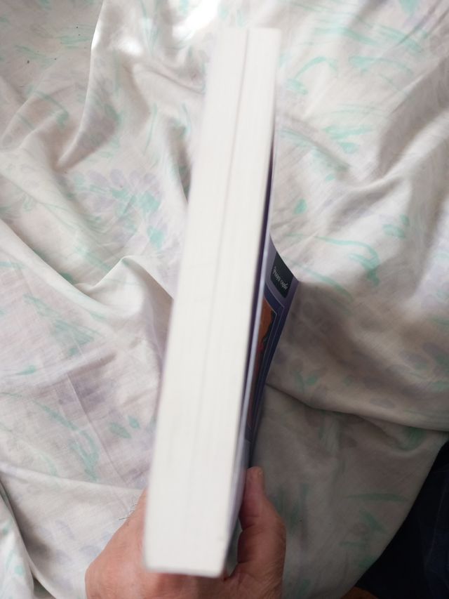 Santa Hildegarda de Bingen: Doctora de la Igles...