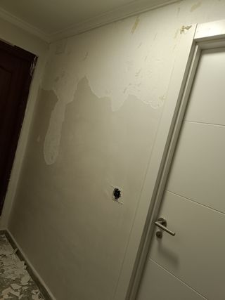 Pintura y alisado 100 % calidad