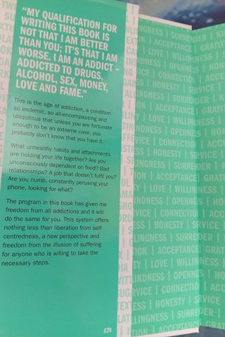 Recovery Russell Brand Libro Inglés Book English 