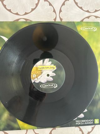 Victory - Why? Vinilo Radical