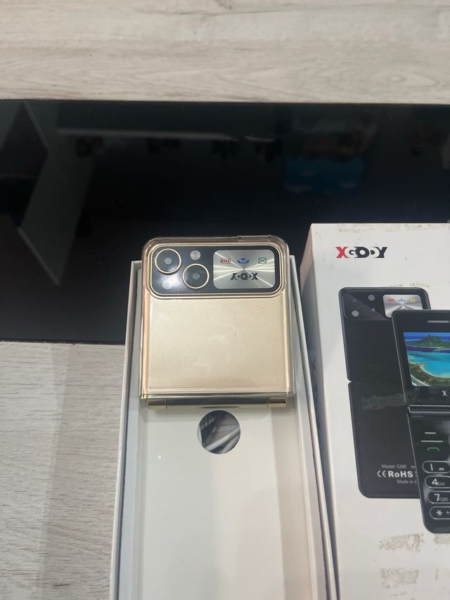Teléfono Móvil XGODY Flip 5300 Negro