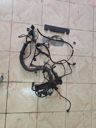 Cableado Motor BMW M57 306D1 184/193cv