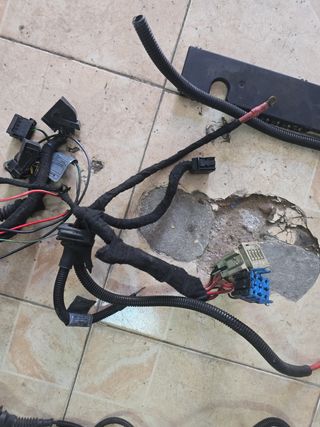 Cableado Motor BMW M57 306D1 184/193cv
