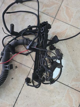 Cableado Motor BMW M57 306D1 184/193cv