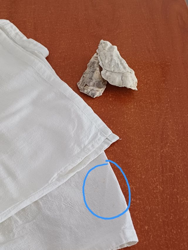 Polo blanco bordado árabe