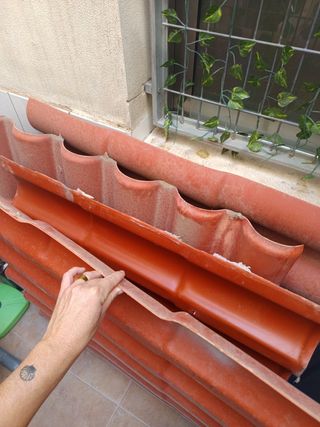 Tejadillo naranja