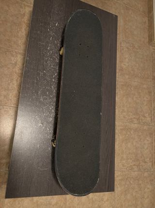 Skate Globe Profesional