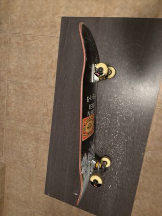 Skate Globe Profesional