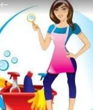 Limpieza profesional , casas ,chaletes,etc