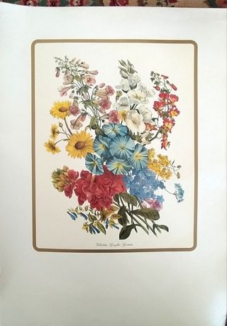 Stampe fiori vintage per quadri