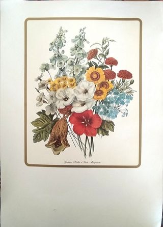 Stampe fiori vintage per quadri