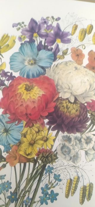 Stampe fiori vintage per quadri