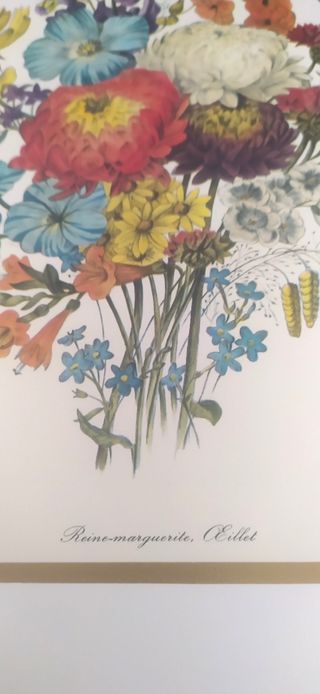 Stampe fiori vintage per quadri