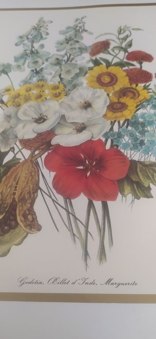 Stampe fiori vintage per quadri