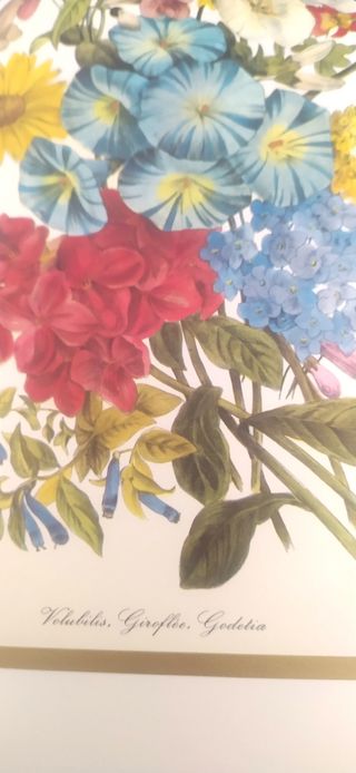 Stampe fiori vintage per quadri