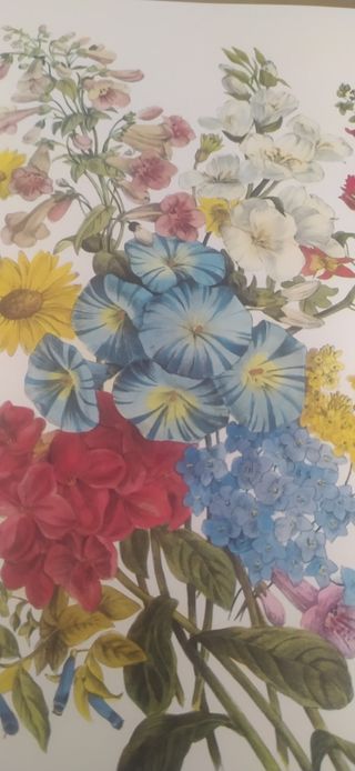 Stampe fiori vintage per quadri