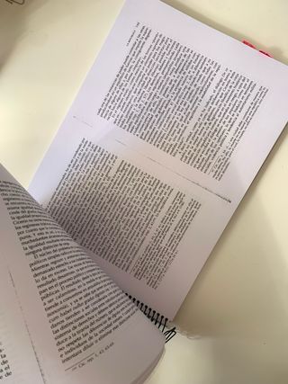 ROMA: Instituciones e ideologías políticas