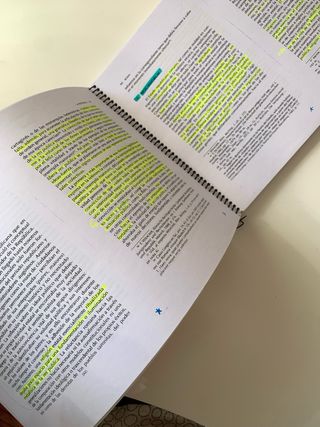 ROMA: Instituciones e ideologías políticas